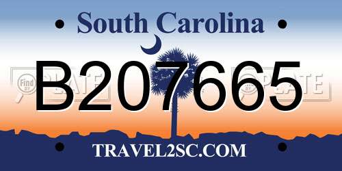 B207665 South Carolina License Plate