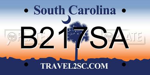 B217SA South Carolina License Plate