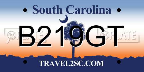 B219GT South Carolina License Plate