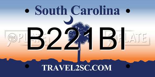 B221BI South Carolina License Plate