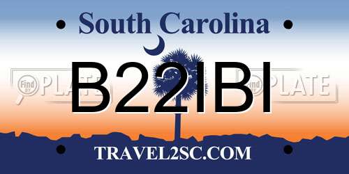 B22IBI South Carolina License Plate