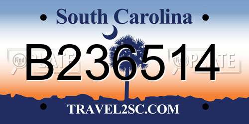 B236514 South Carolina License Plate