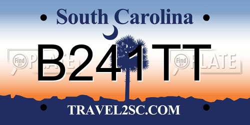 B241TT South Carolina License Plate