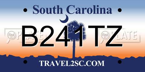 B241TZ South Carolina License Plate