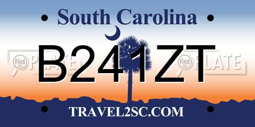 B241ZT South Carolina License Plate