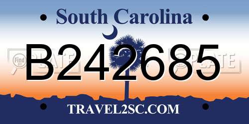 B242685 South Carolina License Plate