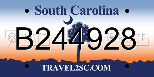 B244928 South Carolina License Plate