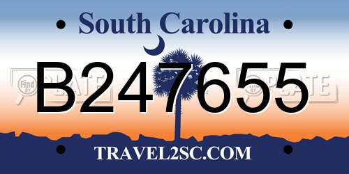 B247655 South Carolina License Plate