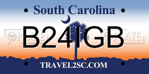 B24IGB South Carolina License Plate