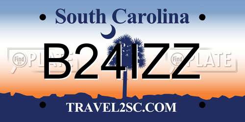 B24IZZ South Carolina License Plate
