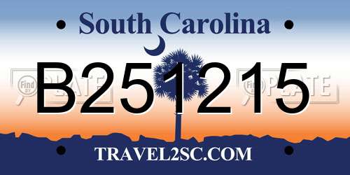 B251215 South Carolina License Plate