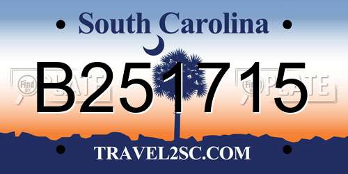 B251715 South Carolina License Plate