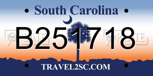 B251718 South Carolina License Plate