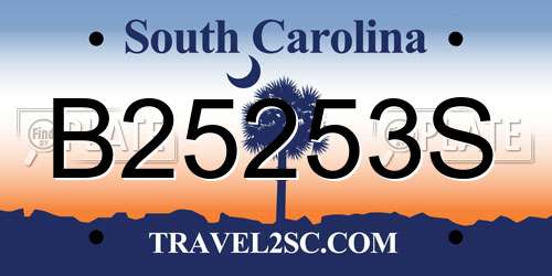 B25253S South Carolina License Plate