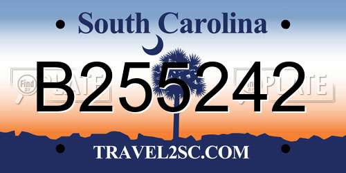 B255242 South Carolina License Plate