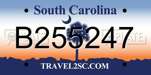 B255247 South Carolina License Plate