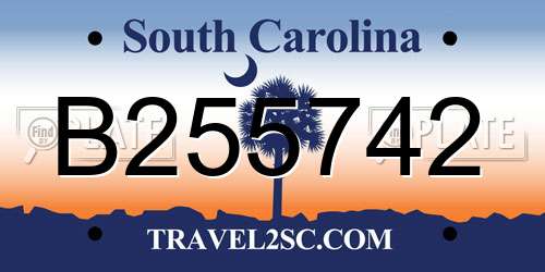 B255742 South Carolina License Plate
