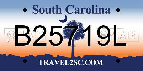B25719L South Carolina License Plate