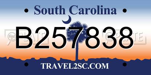 B257838 South Carolina License Plate