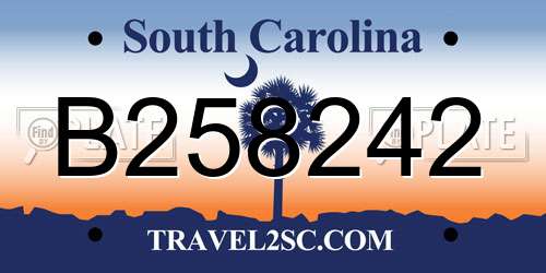 B258242 South Carolina License Plate