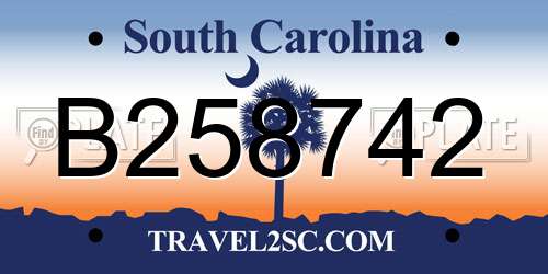 B258742 South Carolina License Plate