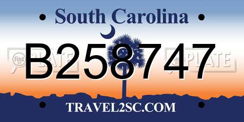 B258747 South Carolina License Plate