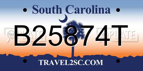B25874T South Carolina License Plate