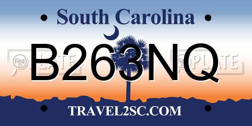 B263NQ South Carolina License Plate