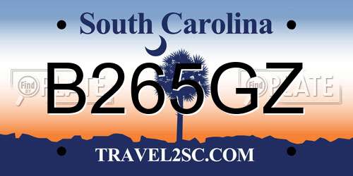 B265GZ South Carolina License Plate