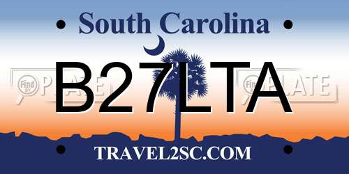 B27LTA South Carolina License Plate