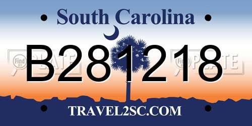B281218 South Carolina License Plate