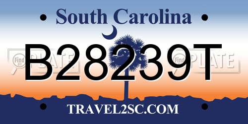B28239T South Carolina License Plate