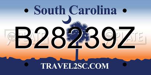 B28239Z South Carolina License Plate