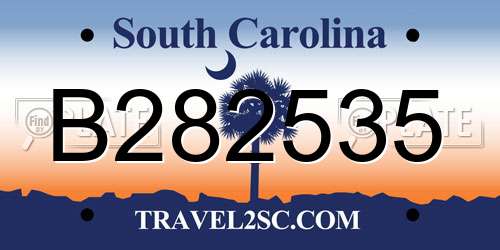 B282535 South Carolina License Plate