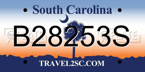 B28253S South Carolina License Plate