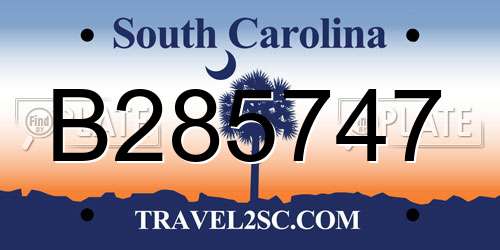 B285747 South Carolina License Plate