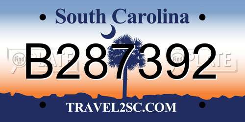 B287392 South Carolina License Plate