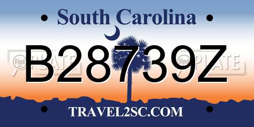 B28739Z South Carolina License Plate