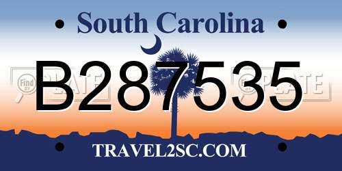 B287535 South Carolina License Plate