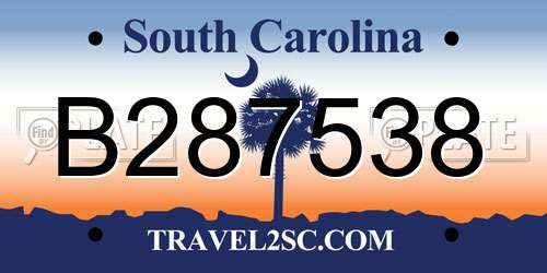 B287538 South Carolina License Plate