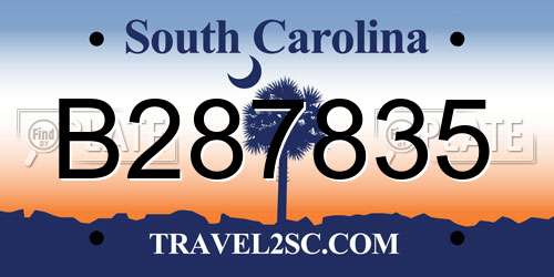 B287835 South Carolina License Plate