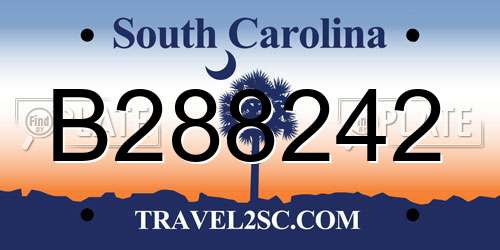 B288242 South Carolina License Plate