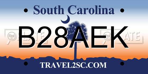 B28AEK South Carolina License Plate