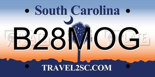 B28MOG South Carolina License Plate