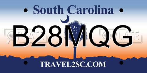 B28MQG South Carolina License Plate