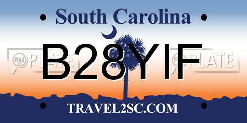 B28YIF South Carolina License Plate