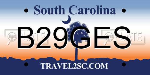 B29GES South Carolina License Plate