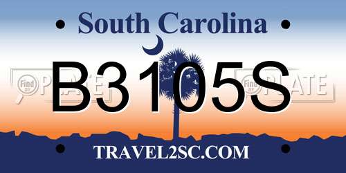 B3105S South Carolina License Plate