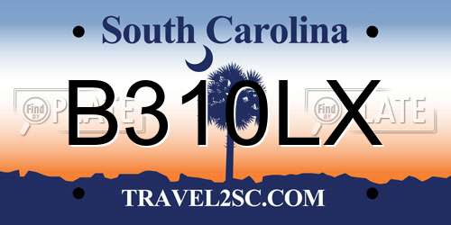 B310LX South Carolina License Plate