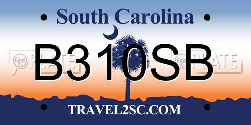B310SB South Carolina License Plate